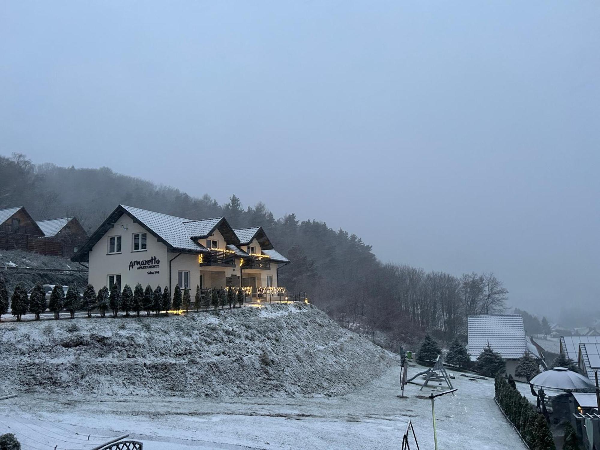 Amaretto Apartamenty Solina - Balia Z Jacuzzi I Sauna Solina (Podkarpackie) Kültér fotó