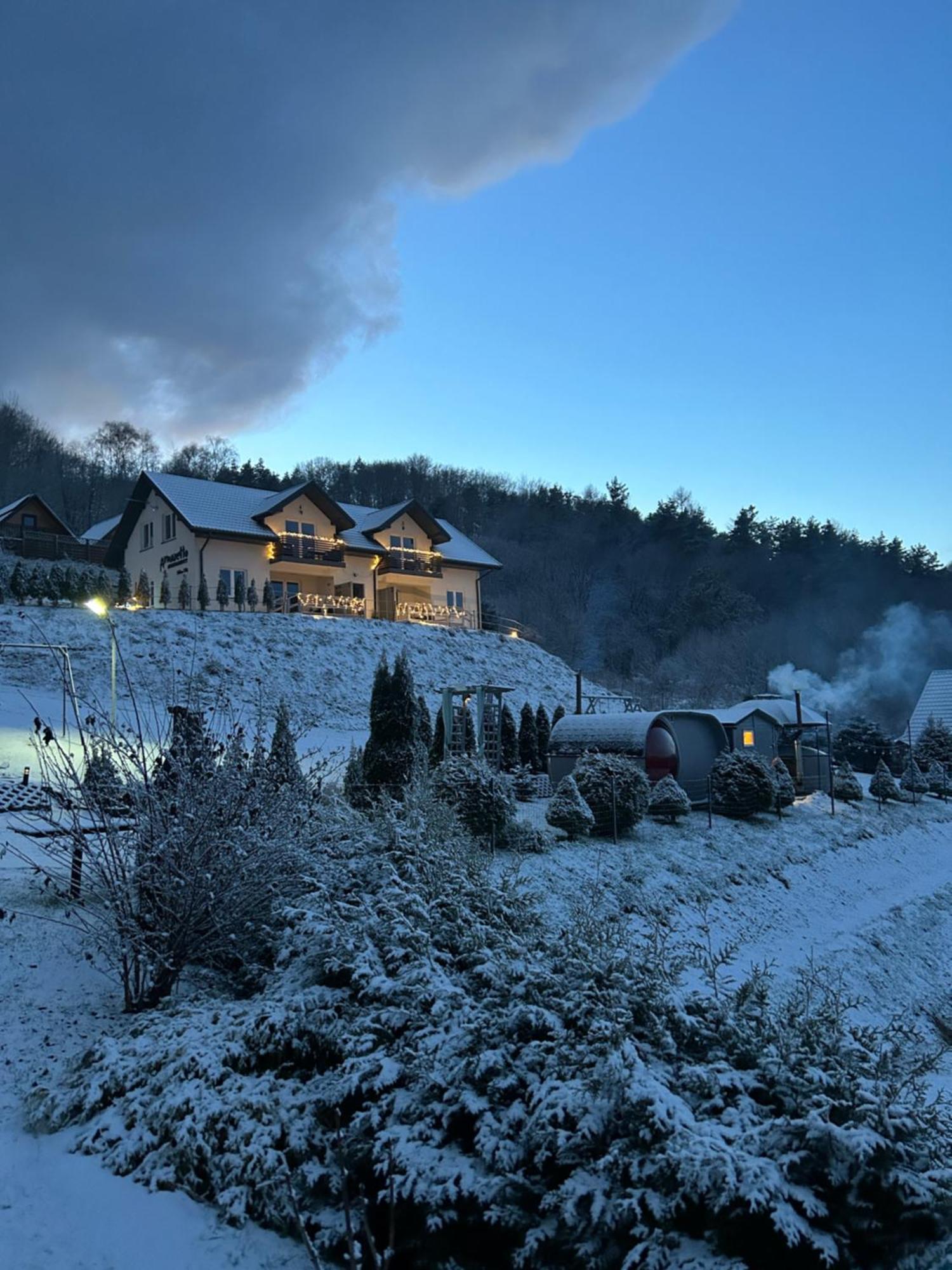 Amaretto Apartamenty Solina - Balia Z Jacuzzi I Sauna Solina (Podkarpackie) Kültér fotó